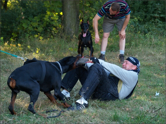 Summer training camp - Jelenec - 2007